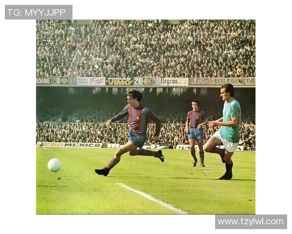 足球明星球衣号码30的传奇故事与背后不为人知的秘密