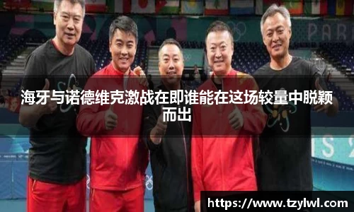 海牙与诺德维克激战在即谁能在这场较量中脱颖而出