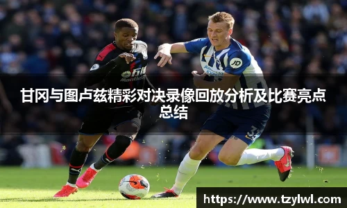 甘冈与图卢兹精彩对决录像回放分析及比赛亮点总结