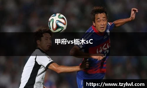 vwin德赢ac米兰